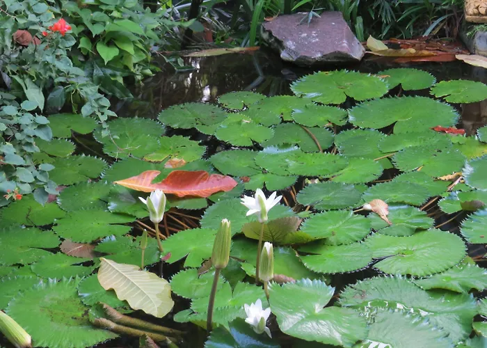 The Water Garden Hotel