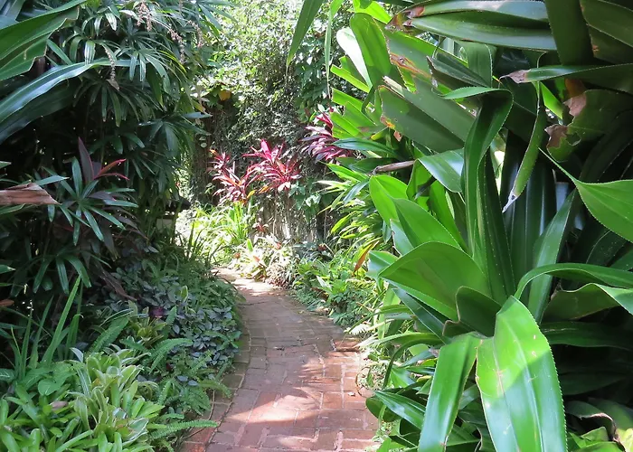 The Water Garden Candidasa